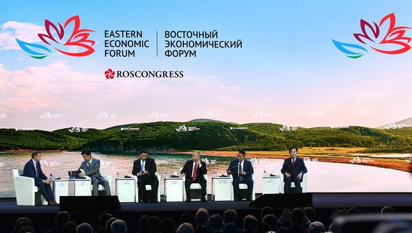 Президент РФ Владимир Путин принимает участие в пленарном заседании Дальний Восток: расширяя границы возможностей IV Восточного экономического форума