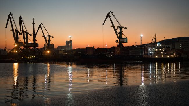 Суда под погрузкой в Новороссийском морском торговом порту. Архивное фото