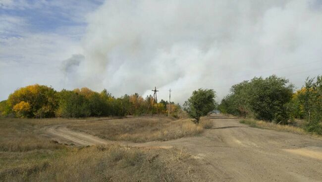 Возгорание сухой травы и лесополосы в поселке 9-ое Января, Оренбургская область. 14 сентября 2018