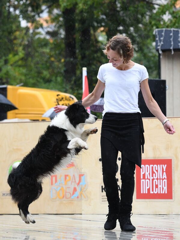 Танец с собакой породы бордер-колли во время парада собак в парке Красная пресня