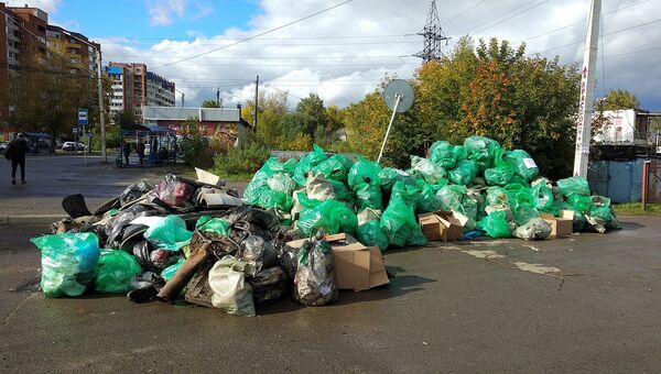 Активисты ОНФ собрали 700 тонн мусора в ходе Генеральной уборки страны