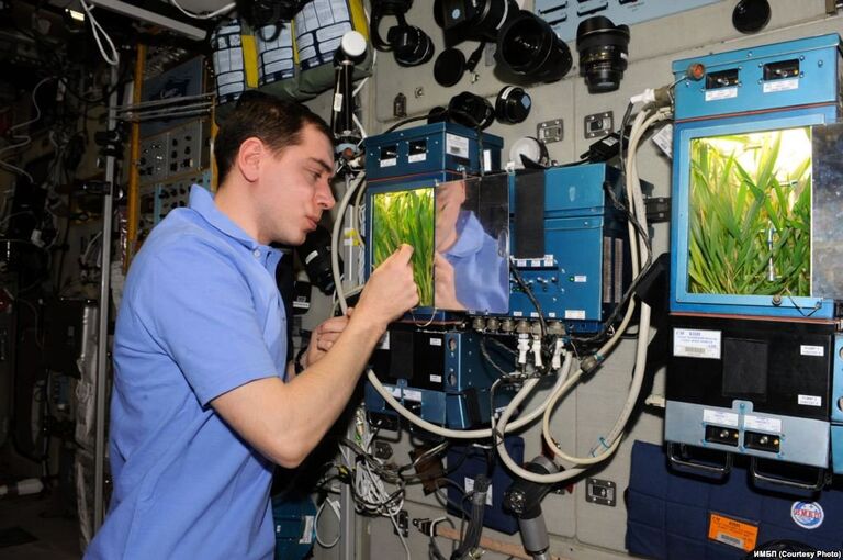 Космонавт Сергей Волков на МКС Космонавт Сергей Волков на МКС