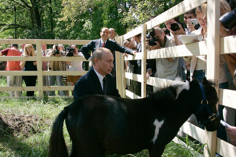 В.Путин, С.Берлускони и пони президента России