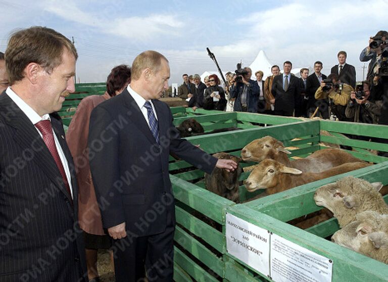 Владимир Путин