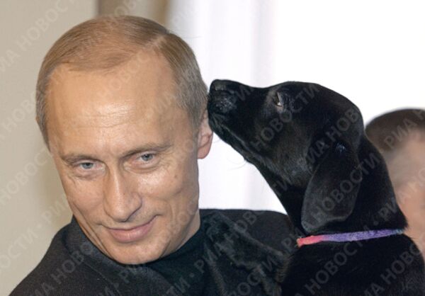 Владимир Путин с ценком лабрадора Кони