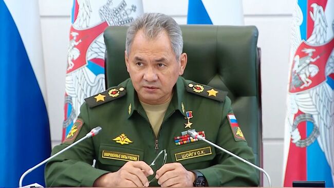 Министр обороны РФ, генерал армии Сергей Шойгу . Архивное фото