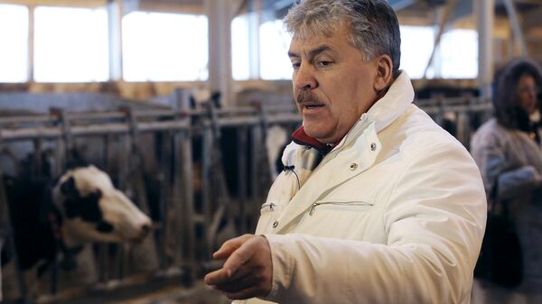 Павел Грудинин на молочной ферме в поселке Совхоза имени Ленина