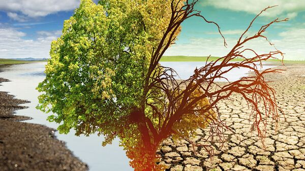 Изменение климата и водные войны