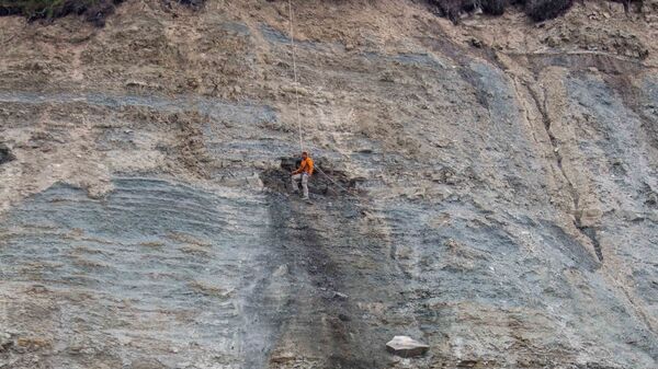 Илья Бобровский извлекает окаменелость из куска горной породы
