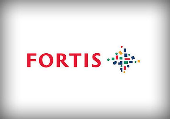 Банковская группа Fortis. Логотип