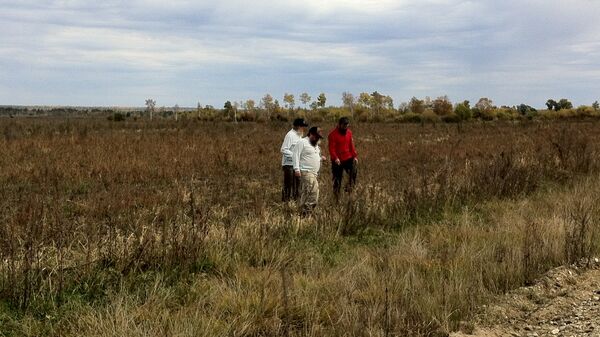 Староверы из Южной Америки осматривают соевые поля в Амурской области