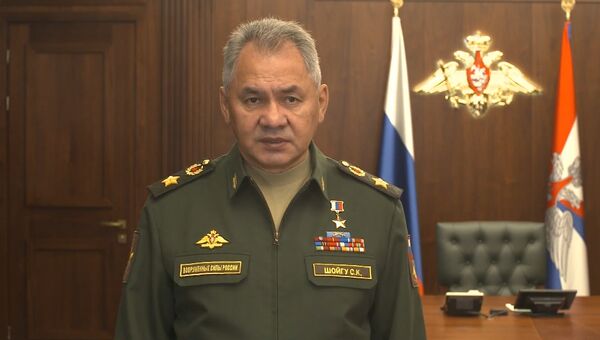 Шойгу заявил о поставках С-300 сирийцам в связи с атакой на российский Ил-20