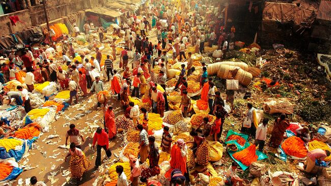 Индия. Колката