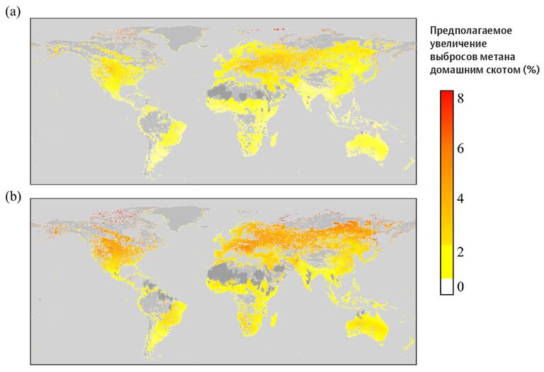Предполагаемое увеличение выбросов метана домашним скотом Предполагаемое увеличение выбросов метана домашним скотом