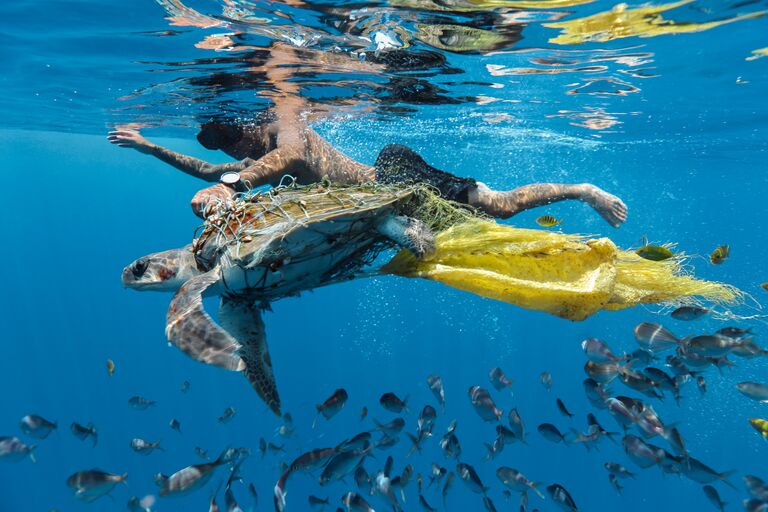 Работа участника конкурса Environmental Photographer of the Year 2018. Фотограф Jing Li