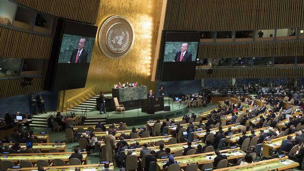 Президент Турции Реджеп Тайип Эрдоган выступает на Генеральной Ассамблее ООН в Нью-Йорке. Архив