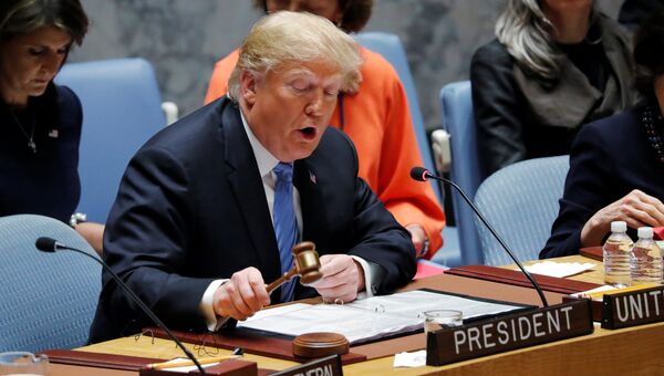 Президент США Дональд Трамп во время заседания Генассамблеи ООН в Нью-Йорке