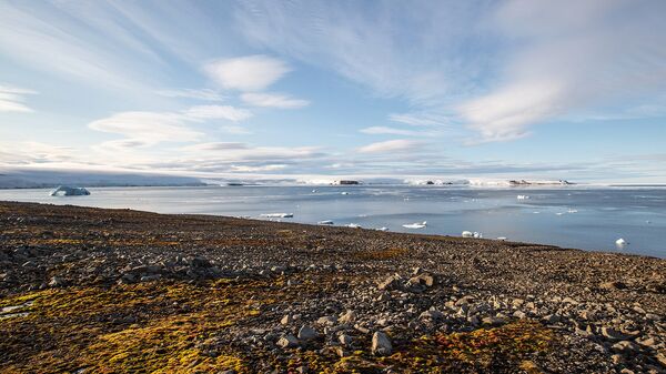 Россия и Финляндия намерены сотрудничать в сфере улучшения экологии Арктики