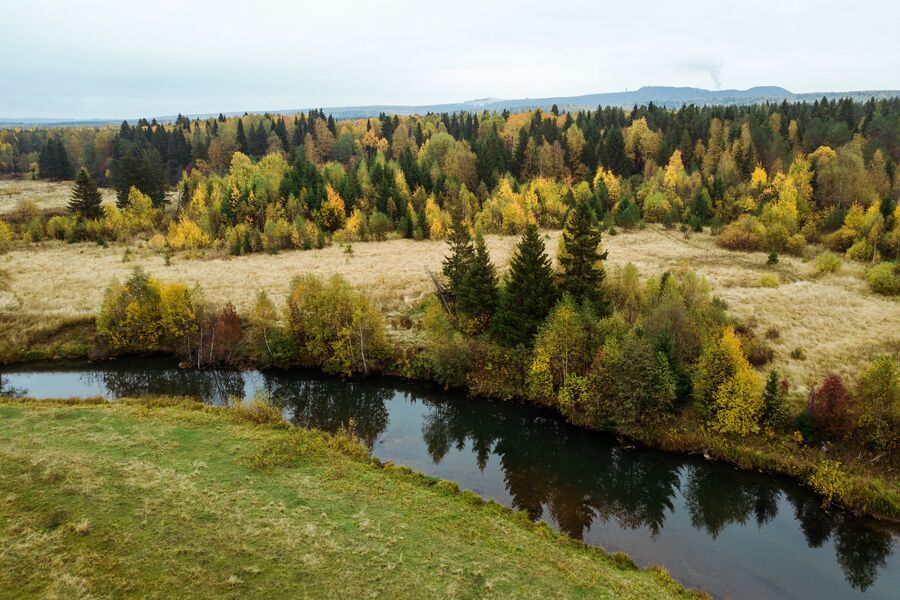 Осенний пейзаж в пойме реки Кама в Пермском крае