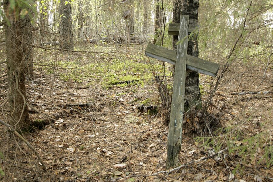 Кресты в лесу на месте погребения «пожизенников» 