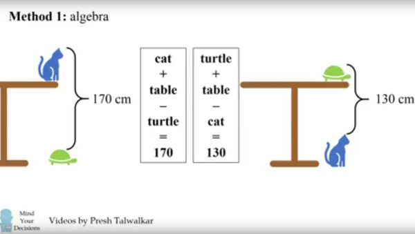 Стоп-кадр видео, иллюстрирующего домашнее задание из Китая: насколько высок стол?