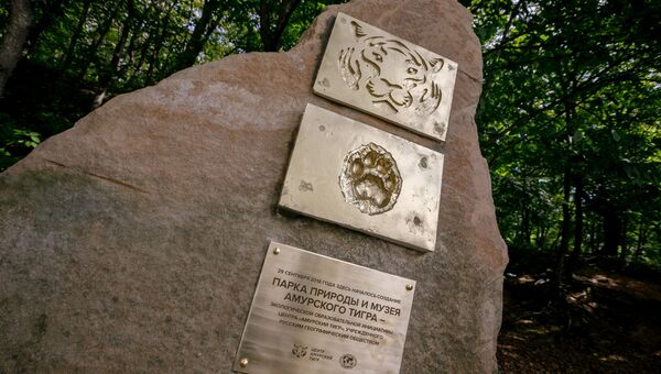 На острове Русский создадут Парк природы и Музей амурского тигра