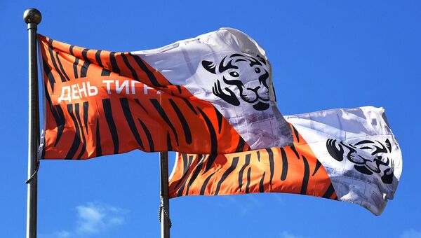 Флаги с символикой Дня тигра во Владивостоке