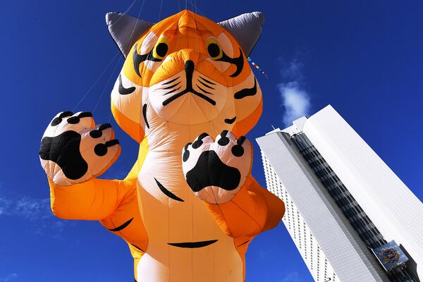 Воздушная фигура тигра во время праздничных мероприятий, посвященных Дню тигра, во Владивостоке