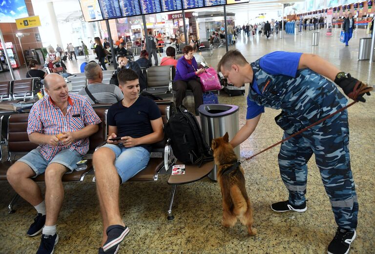 Сотрудник кинологической службы авиакомпании Аэрофлот во время работы со служебной собакой в терминале международного аэропорта Шереметьево