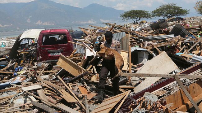 Последствия землетрясения в Индонезии. Архивное фото