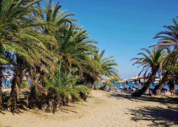 Пальмовый пляж в заповеднике VAI на острове Крит