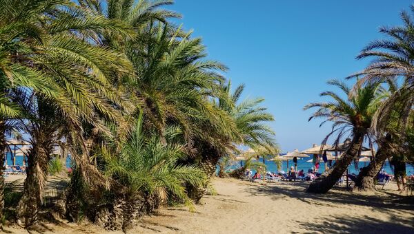 Пальмовый пляж в заповеднике VAI на острове Крит