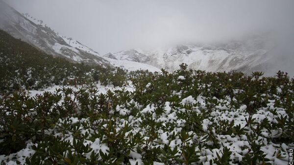 Первый снег в горах Сочи 