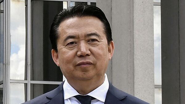 Президент Интерпола Мэн Хунвэй. Архивное фото