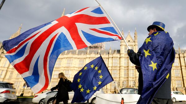 Противник выхода Великобритании из ЕС в Лондоне. Архивное фото
