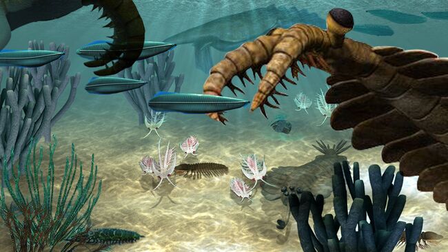 Кембрийский взрыв Кембрийский взрыв