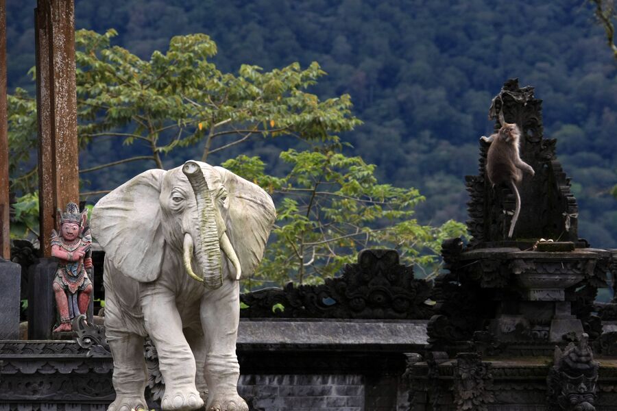 Скульптура слона в индуистском храме Батукару