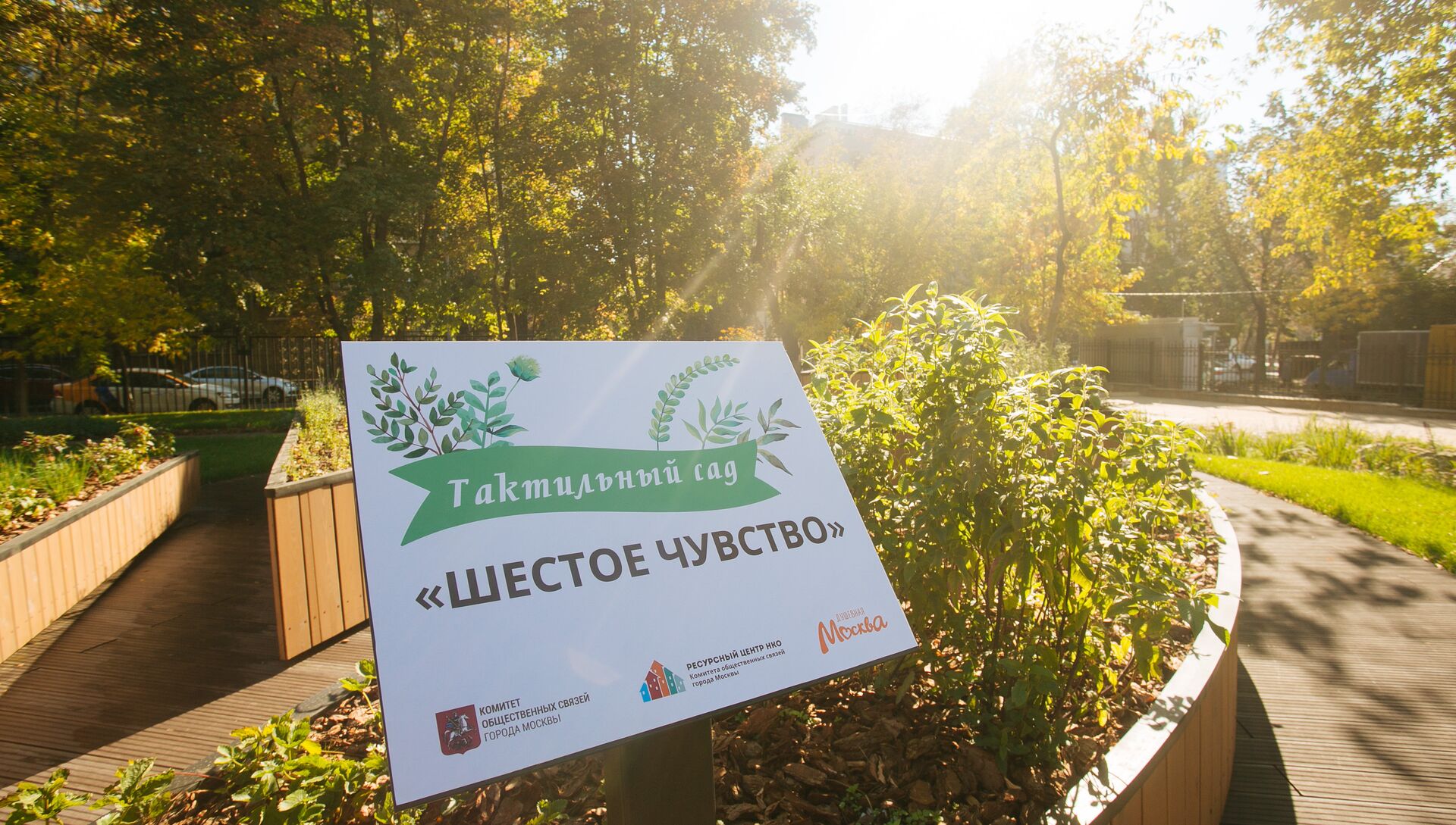 Тактильный сад Шестое чувство - РИА Новости, 1920, 09.10.2018