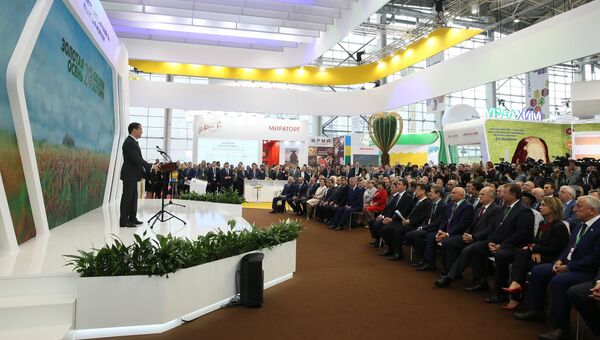 Председатель правительства РФ Дмитрий Медведев выступает на церемонии открытия 20-й агропромышленной выставки Золотая осень в Москве. 10 октября 2018