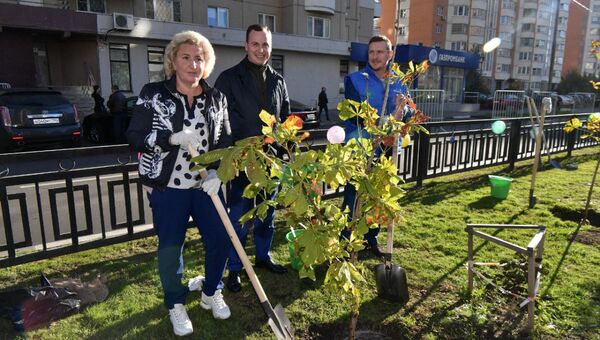 Депутаты Мособлдумы сажают деревья на Аллее Московской областной Думы в Красногорске