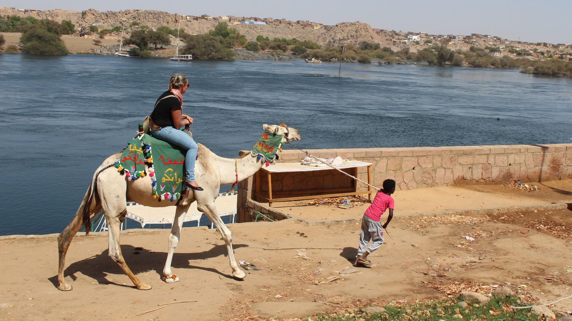 Местный житель катает туристку вдоль Нила на верблюде - РИА Новости, 1920, 05.09.2020