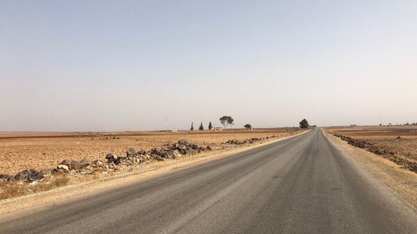 По дороге из Хама в Скальбию, Сирия. Архивное фото