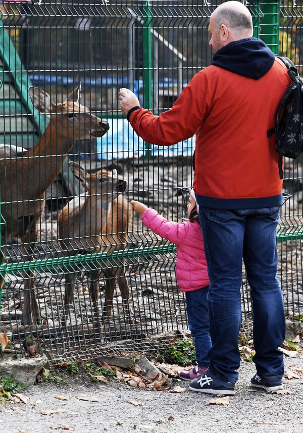 Посетители у вольера с пятнистыми  оленями на территории зоопарка Садгород во Владивостоке