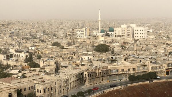 Город Алеппо. Архивное фото