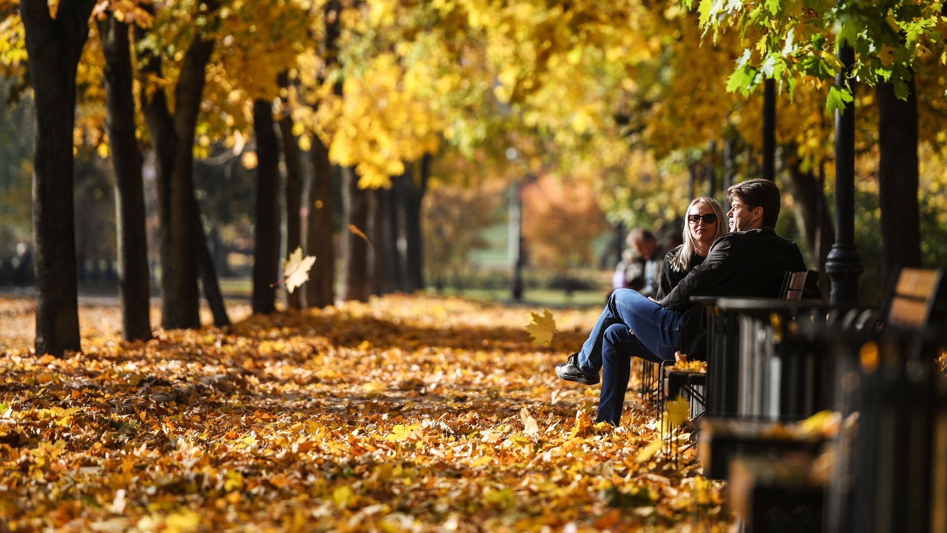 Осень в Москве - РИА Новости, 1920, 01.09.2025