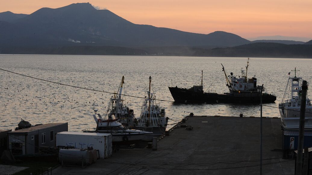 Эксперт оценил протест Японии из-за судоходства на южных Курилах