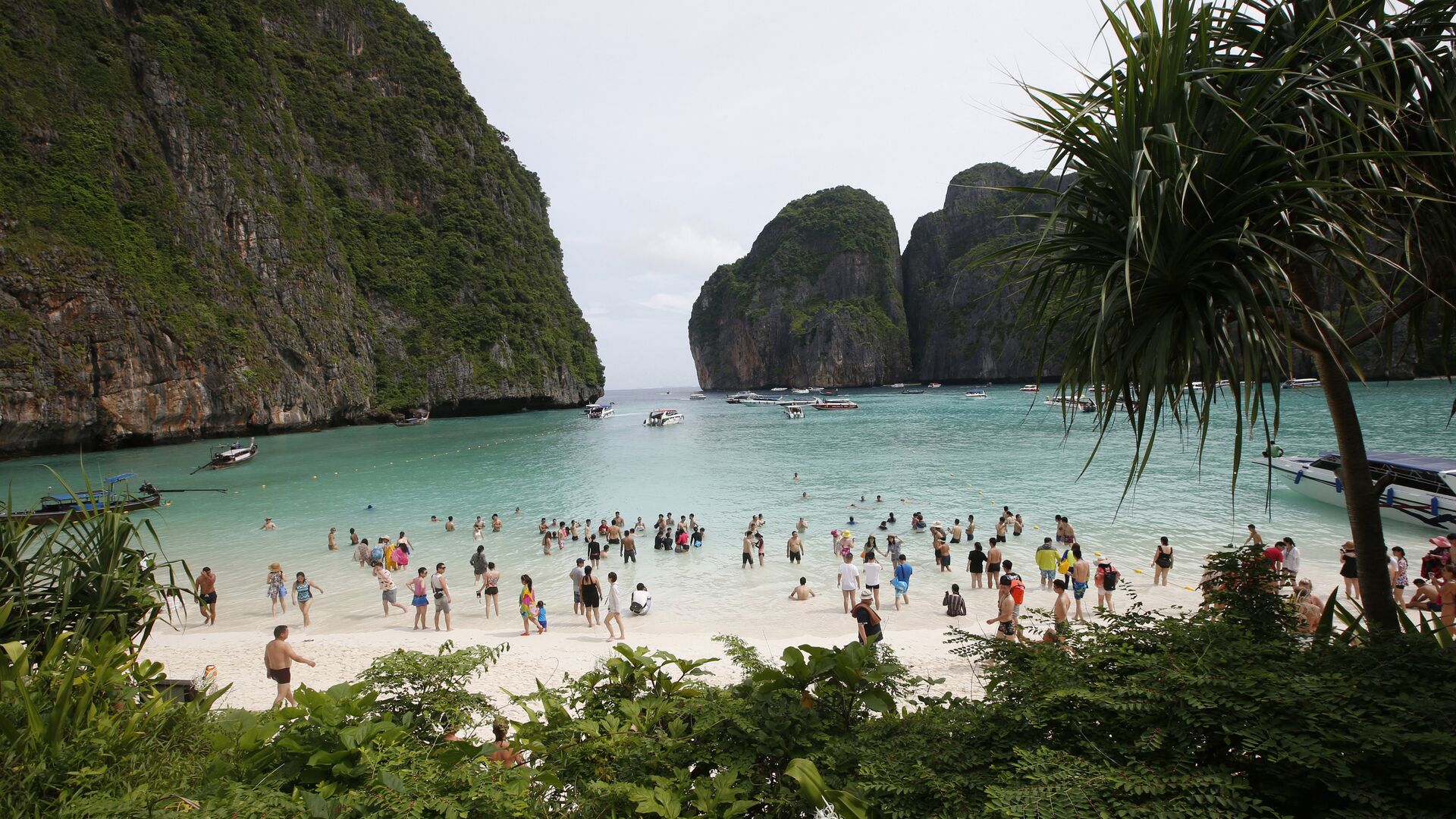 Пляж Maya Bay, Тайланд - РИА Новости, 1920, 23.10.2018