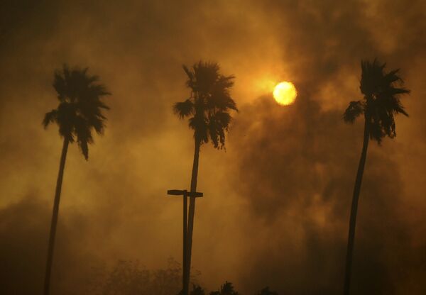 Из-за пожара на юге Калифорнии эвакуированы тысячи человек