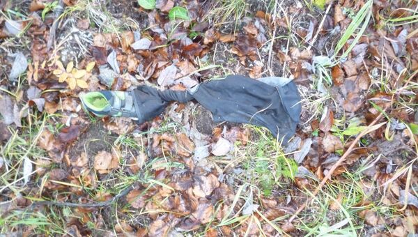 Одежда, обнаруженная при поисках пропавшего 5-летнего мальчика в камчатском крае
