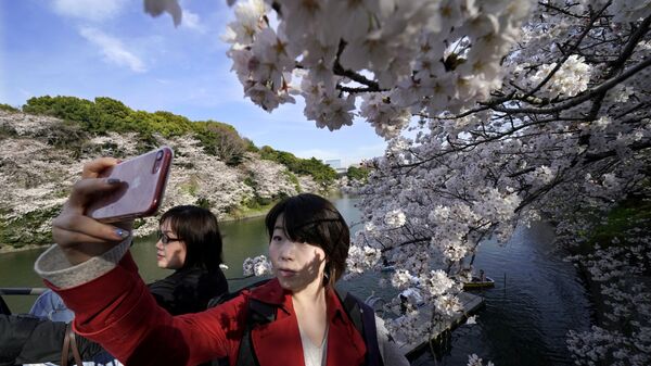 Девушка фотографируется на фоне цветущей сакуры в Токио, Япония